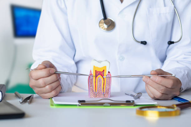 Best Same-Day Emergency Dental Services in Franklin Furnace, OH